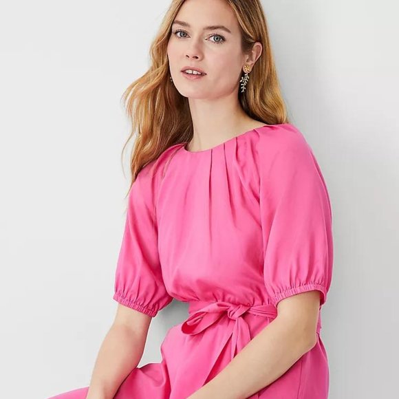 NWT Ann Taylor Pleated Flare Pocket Dress - Picture 3 of 4